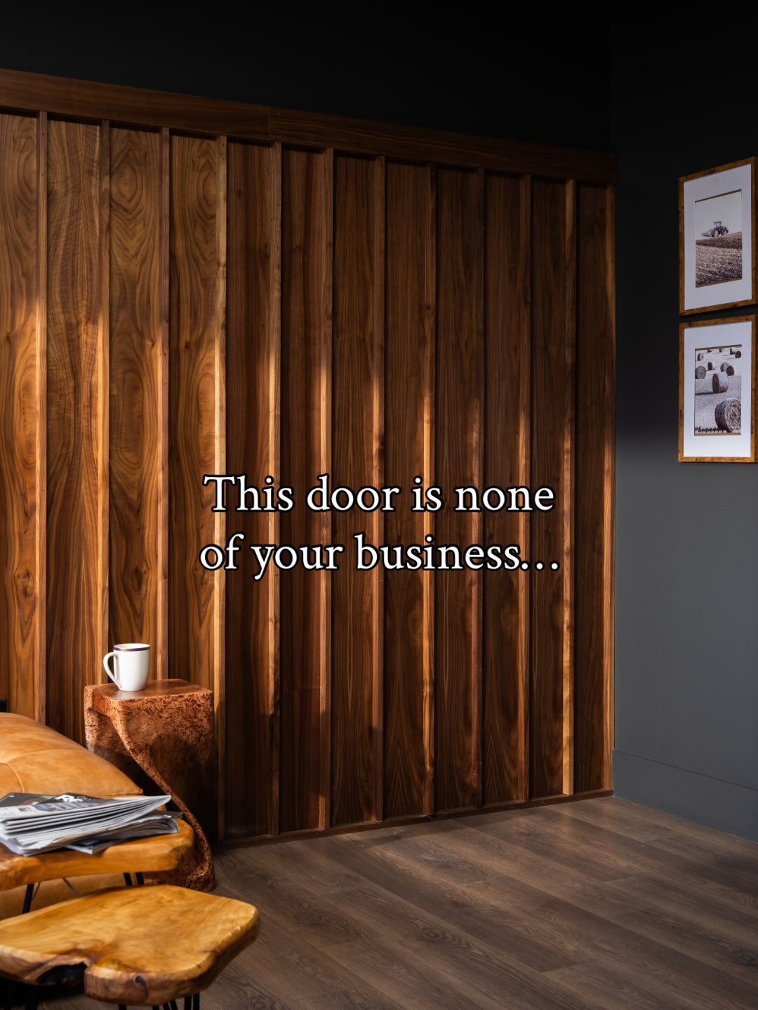 This hidden panel Murphy door is none of your business!! (Unless it’s yours and you are the only one who knows about it🤫)